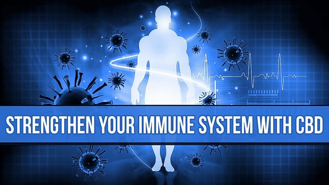 How CBD Can Strengthen Your Immune System kanna cbd
