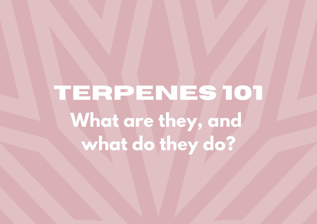 Terpenes 101