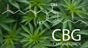 What is CBG?
