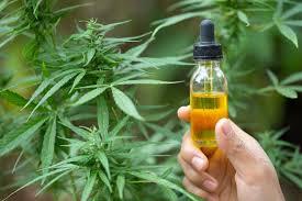 pure hemp extract