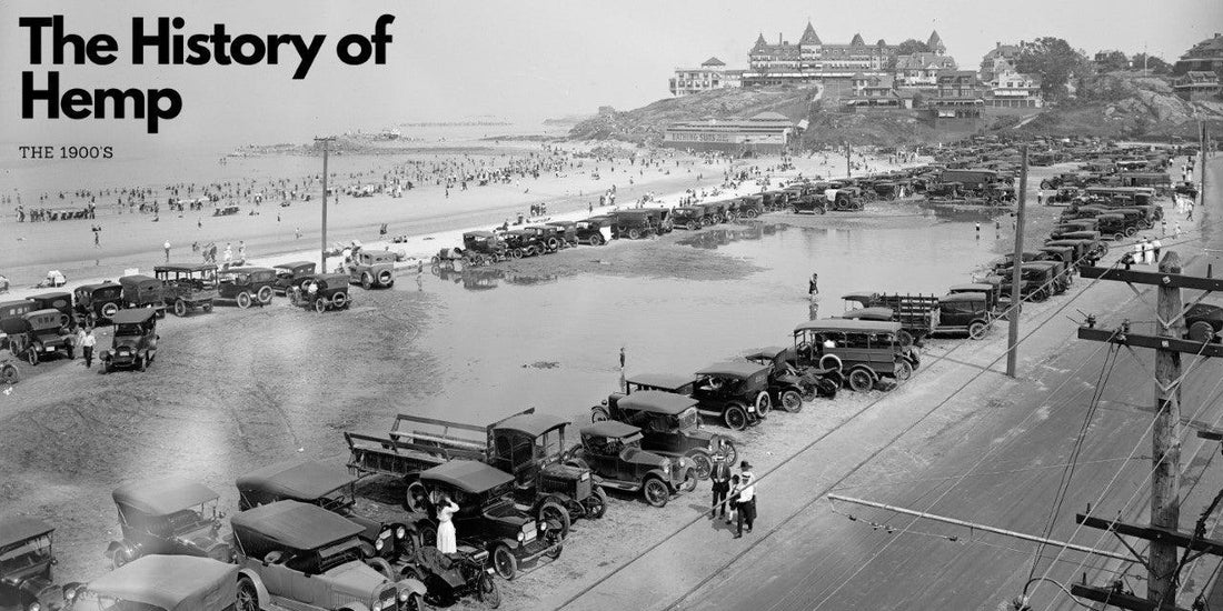 History of Hemp: Part 2 | Hemp Uses and Regulations 1900-1950s - KANNA