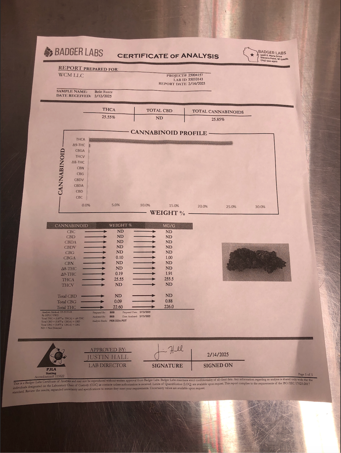 Bolo Runtz Top Shelf THCa - Indica