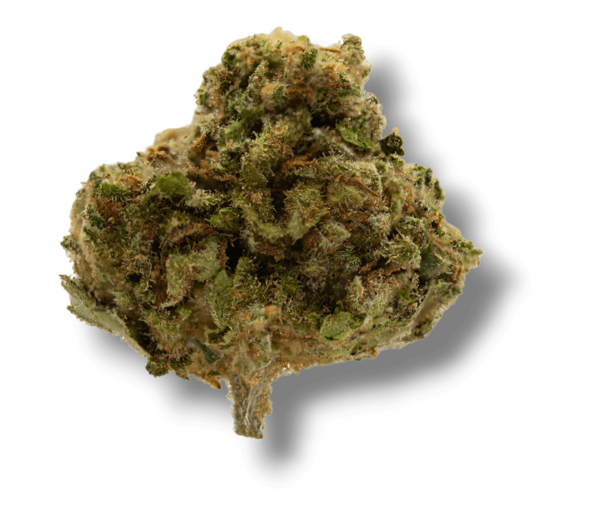 Durban Poison THCa Preroll - Sativa