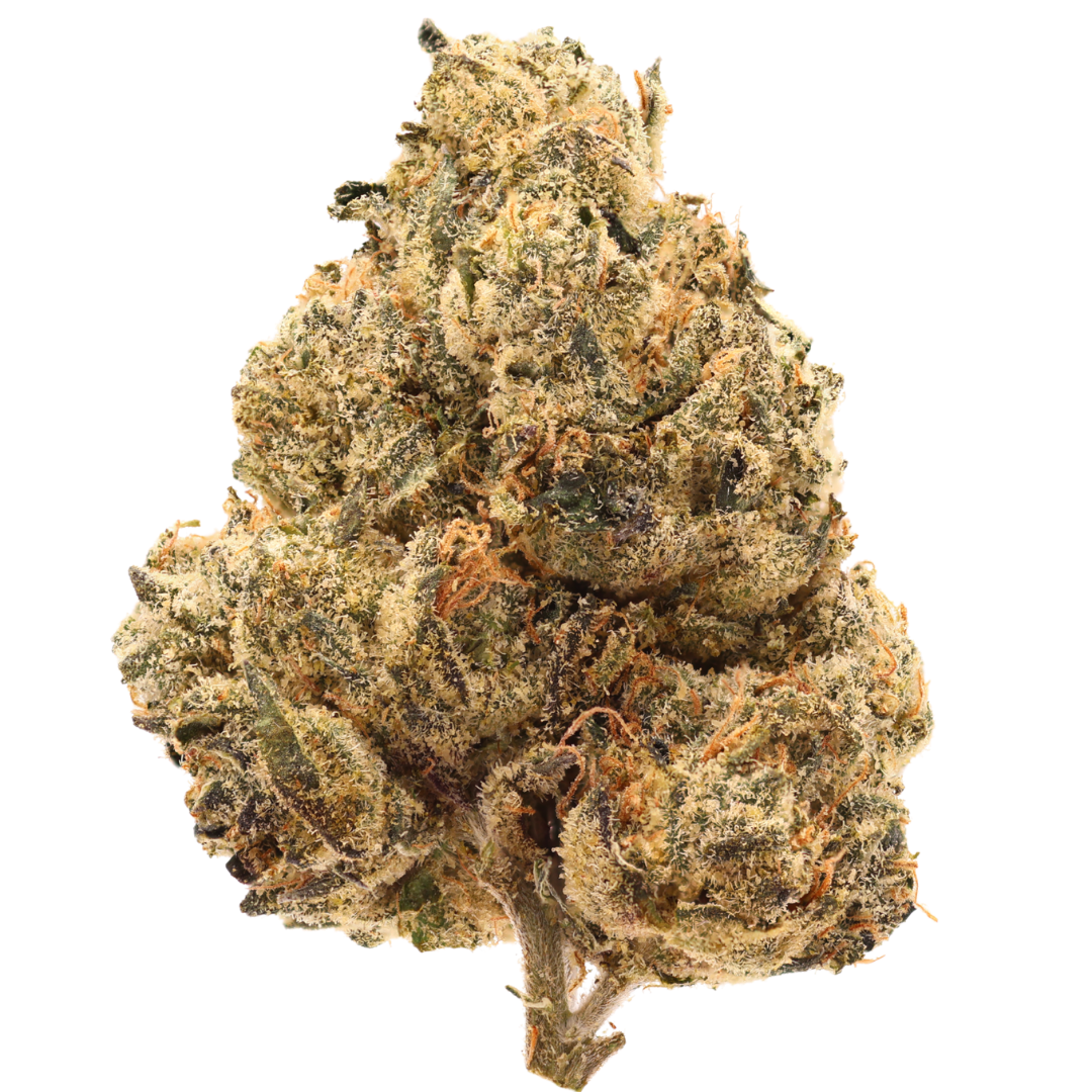 Pineapple Creamsicle Top Shelf THCa - Indica