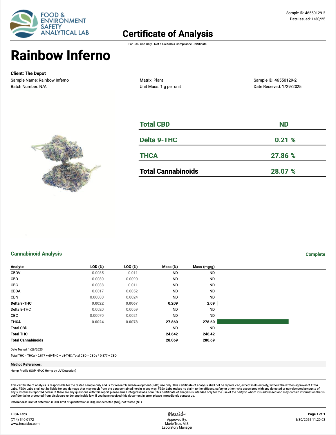 Rainbow Inferno THCa - Hybrid