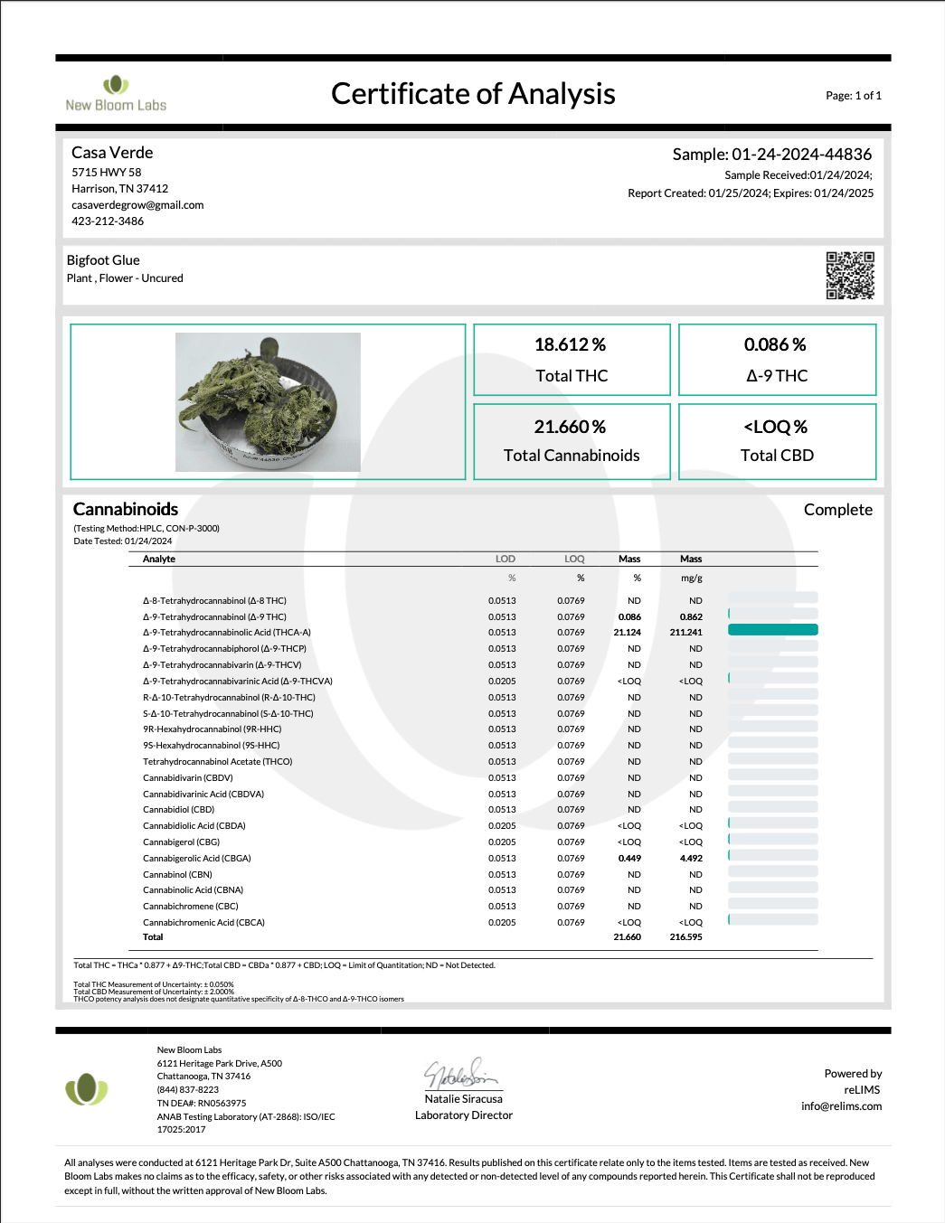 Bigfoot Glue THCA - Hybrid - 18.61%