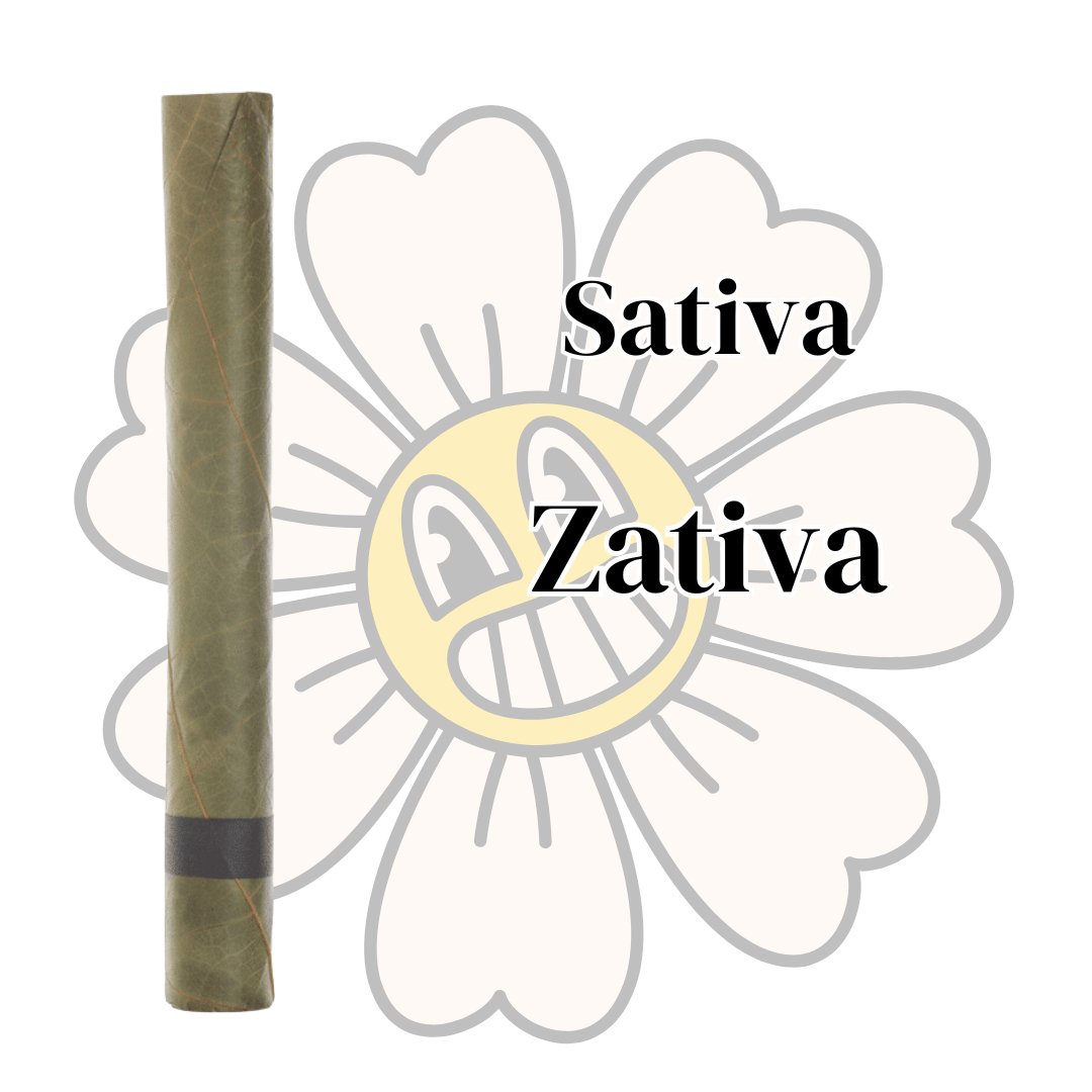 blunt thca strain zativa