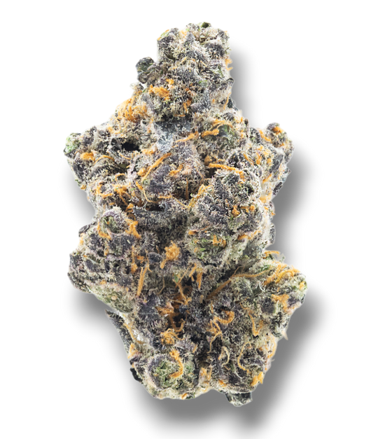 Cheetah Piss Top Shelf THCA - Hybrid - KANNA