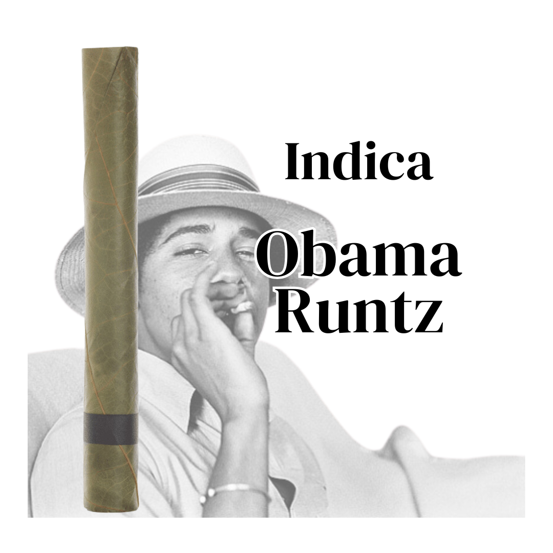 thca blunt of obama runtz