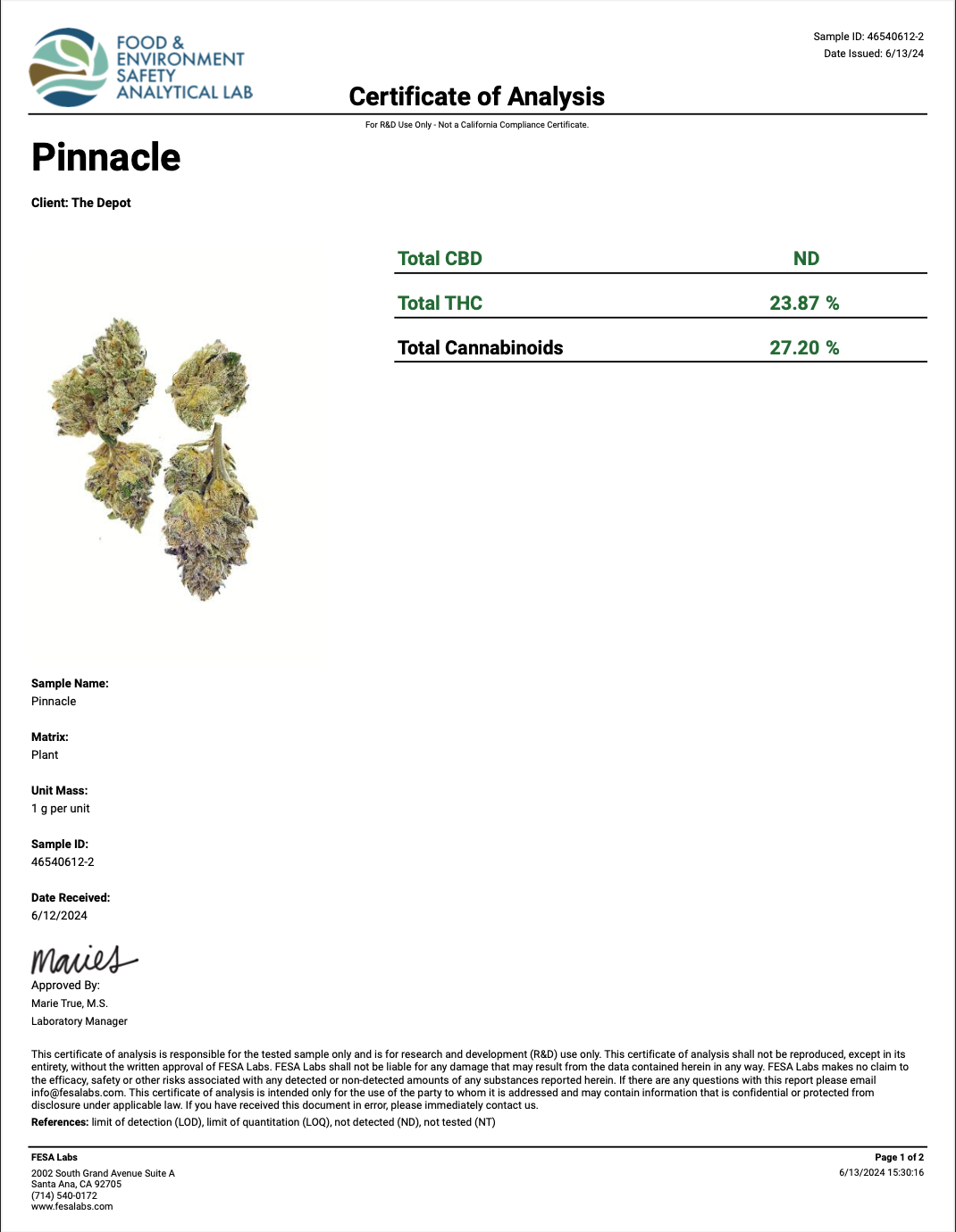 Pinnacle THCA - Hybrid - 23.87%