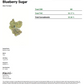 Blueberry Sugar THCA - Hybrid - 22.17%