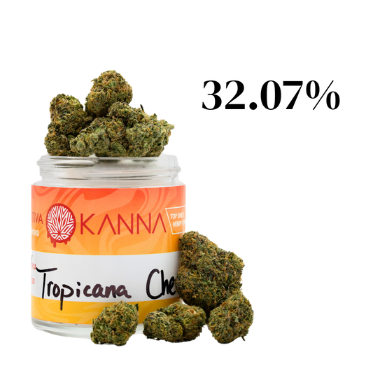 Tropicana Cherry Top Shelf  THCA - Sativa - 32.07%