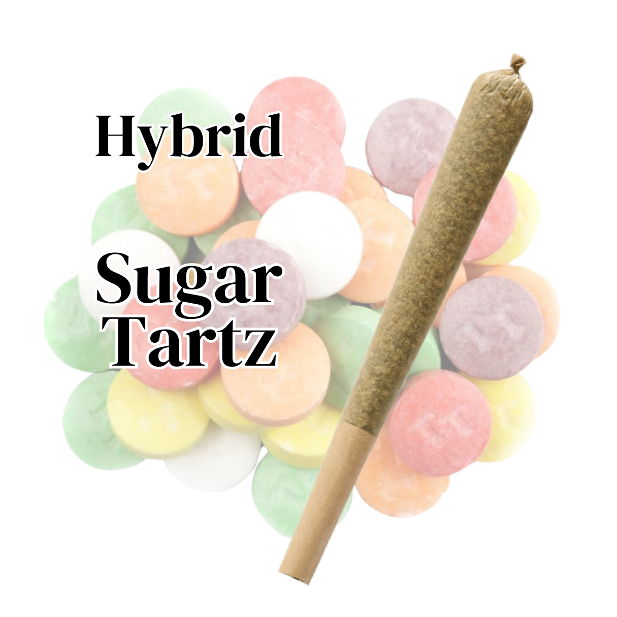 thca preroll strain sugar tartz