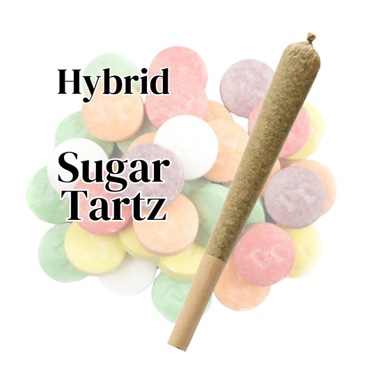 thca preroll strain sugar tartz