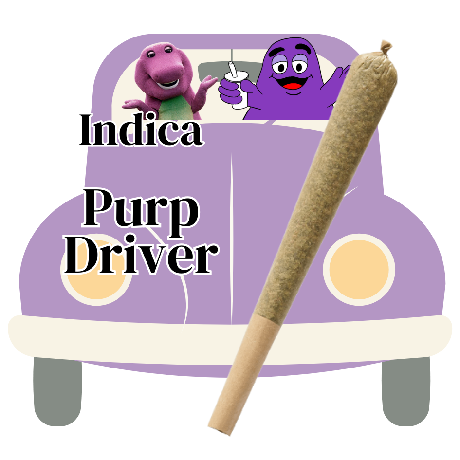 thca strain of purp driver preroll