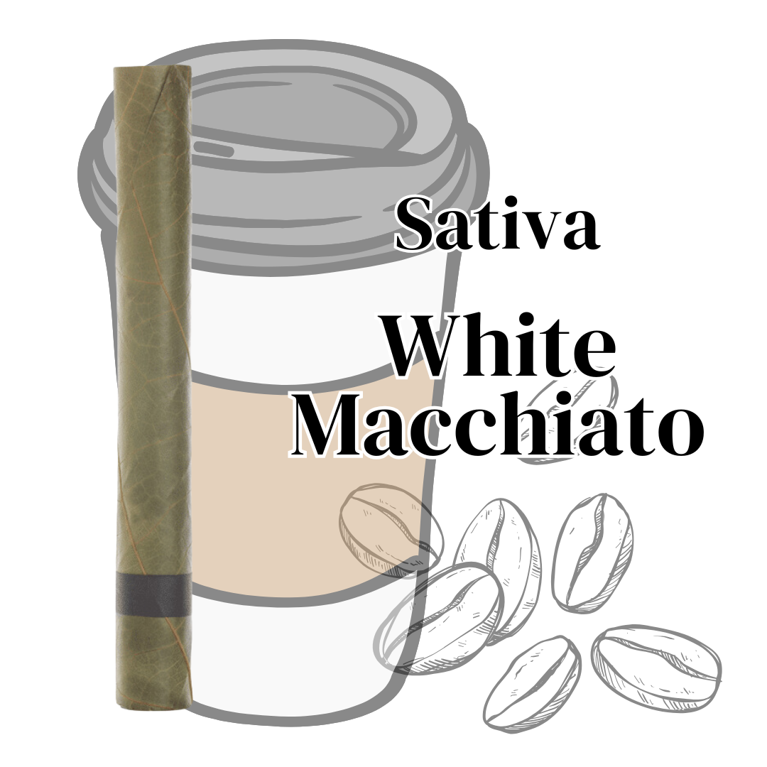 blunt of thca strain white macchiato