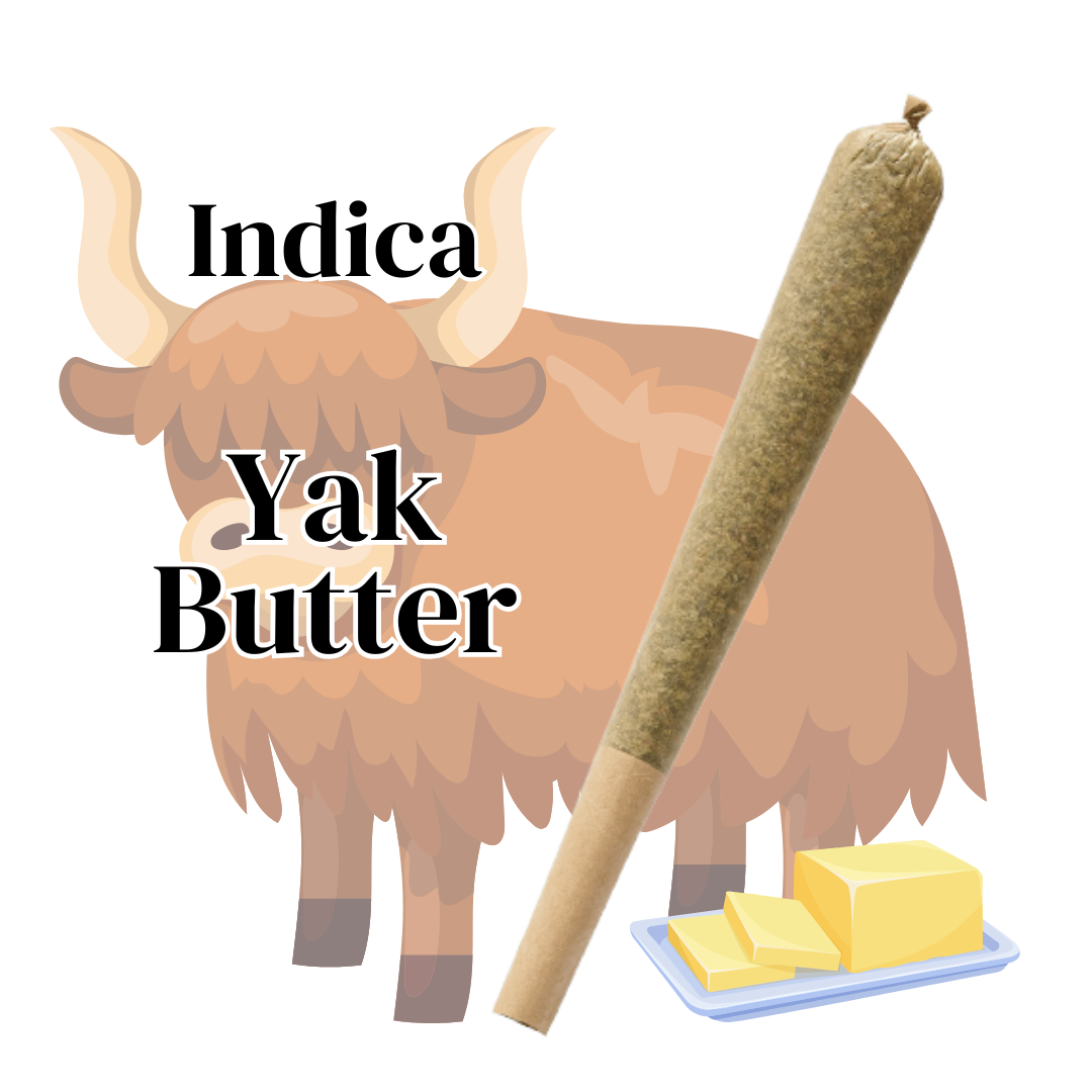 thca strain yak butter preroll