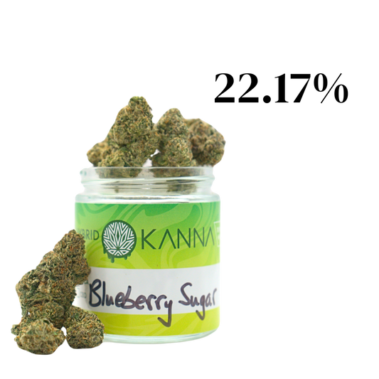 Blueberry Sugar THCA - Hybrid