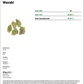 Wazabi THCA - Indica - 25.86%